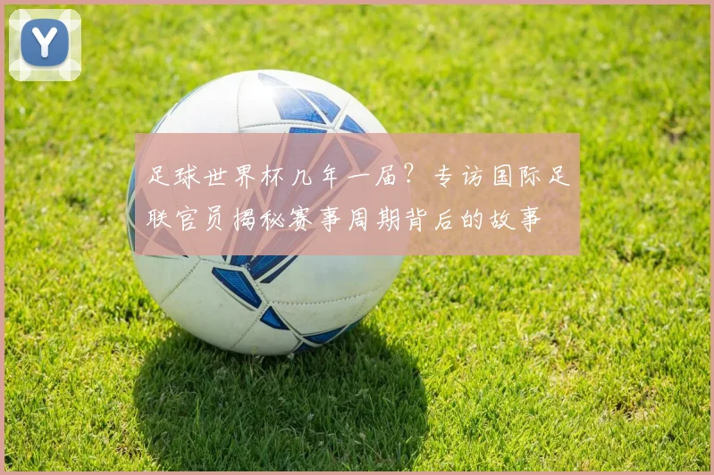 足球世界杯几年一届？专访国际足联官员揭秘赛事周期背后的故事