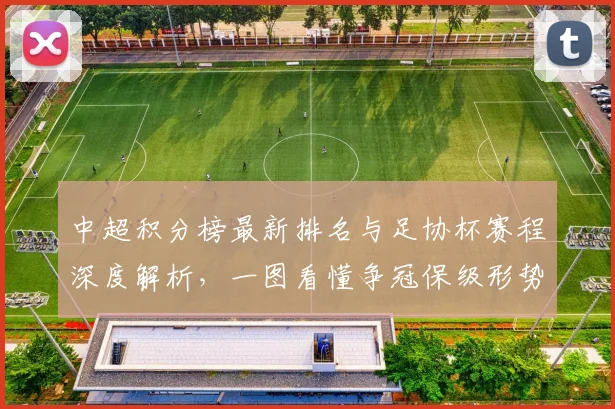 中超积分榜最新排名与足协杯赛程深度解析,一图看懂争冠保级形势